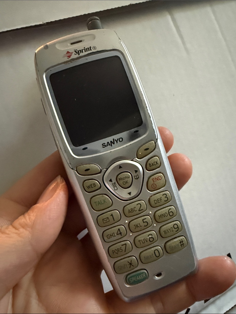 Sanyo SCP-4900 candybar-style phone.